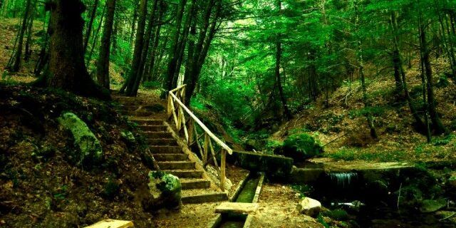 Nasce il biodistretto del Parco delle Serre