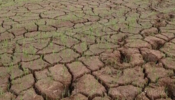 «Grave e persistente siccità»: la crisi dell’acqua in Calabria si fa sempre più allarmante