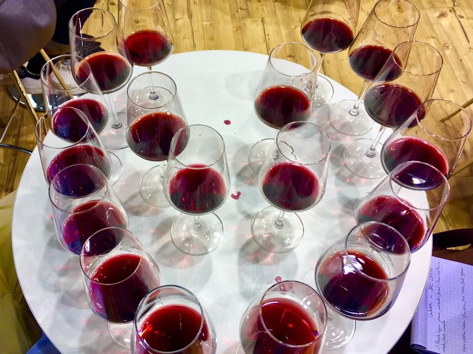 «Vinitaly, per la Calabria edizione da record»