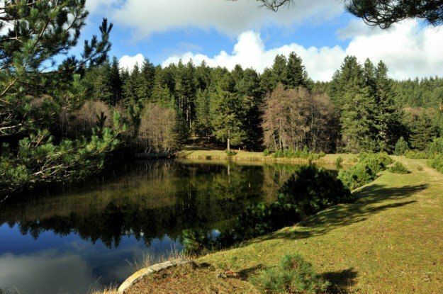 Patrimonio Unesco, bocciata la candidatura della Sila