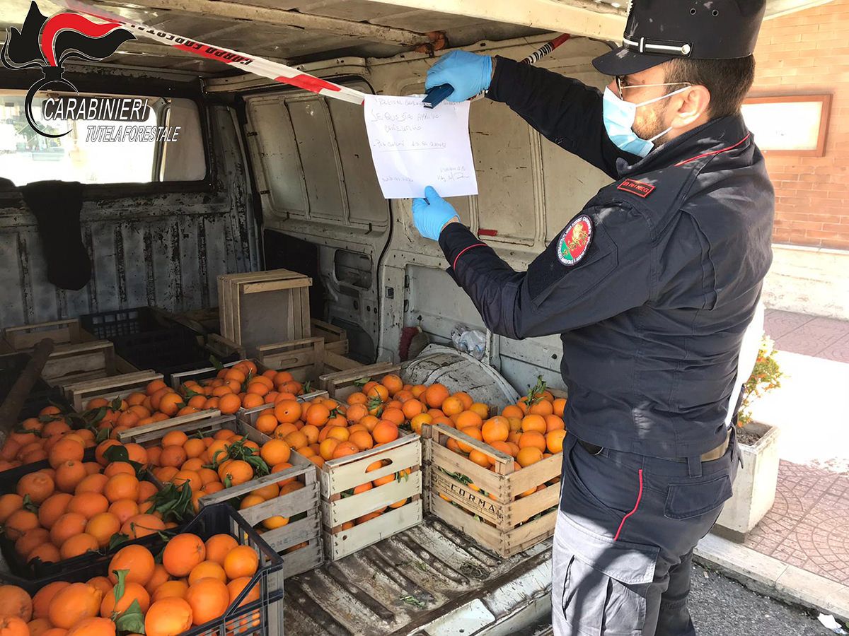 Cassano, in giro a vendere agrumi senza rispettare il Dpcm: denunciati in due
