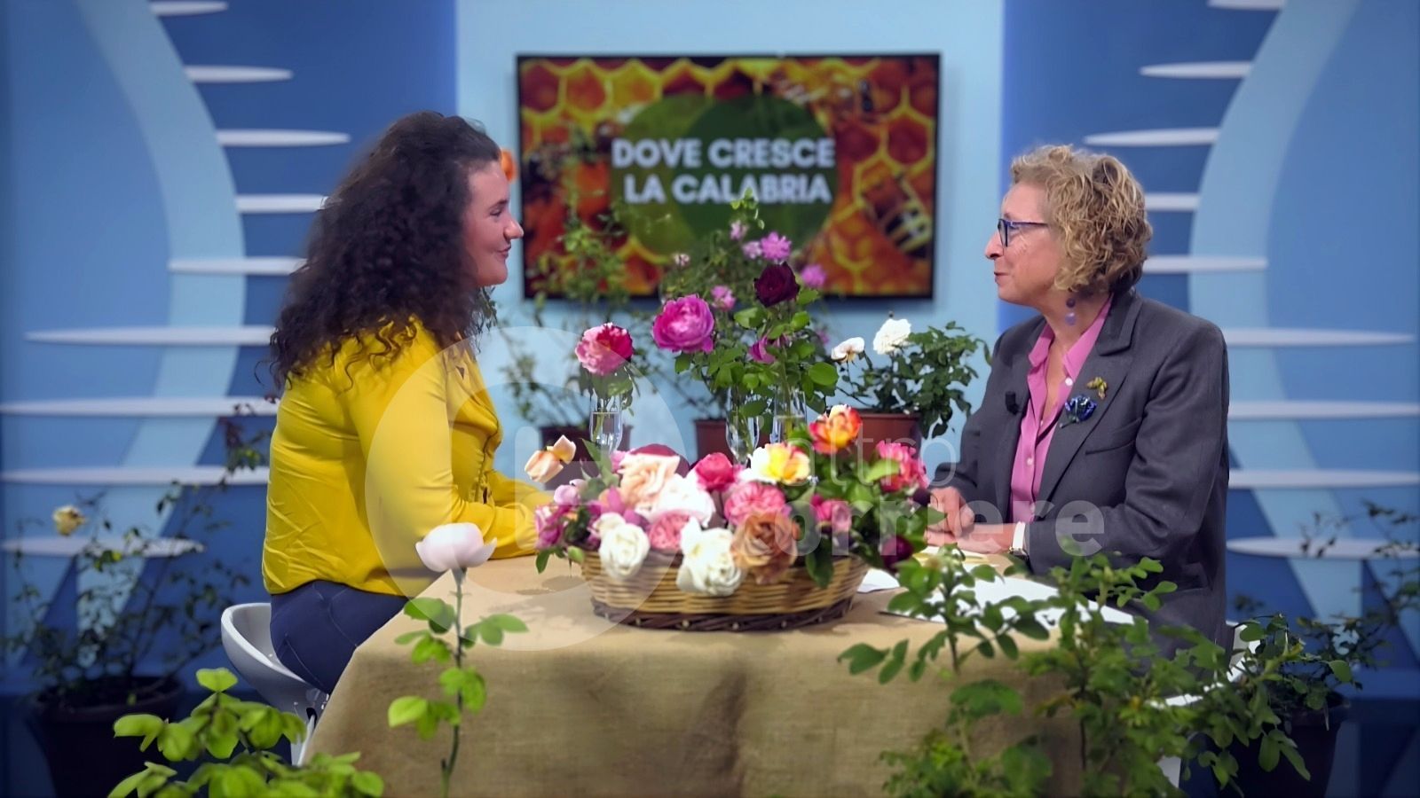 Il giardino delle rose a Ricadi: un angolo di Cina e Inghilterra sulla Costa degli Dei – VIDEO