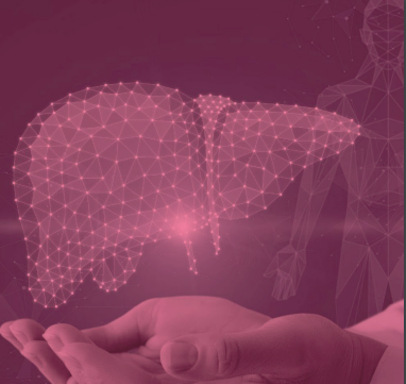 All’Umg una giornata di studio sulle malattie epatiche autoimmuni