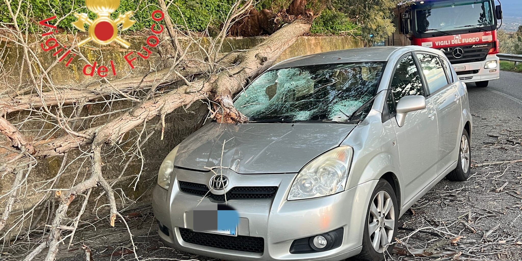 Albero cade su un’auto in corsa, tragedia sfiorata: due persone ferite