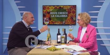 La viticoltura eroica della Costa Viola, vino di qualità in un paesaggio mozzafiato – VIDEO