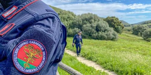tutela_forestale
