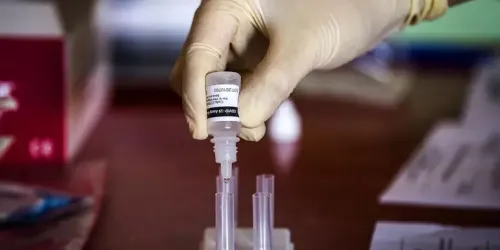 vaccini vaccino pandemie epidemie
