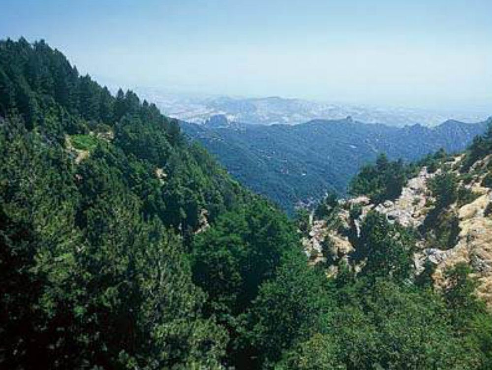 Parco dell`Aspromonte, prima riunione con il nuovo presidente