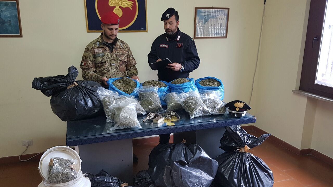 Oltre 40 kg di marijuana in un casolare a Gerocarne, due arresti