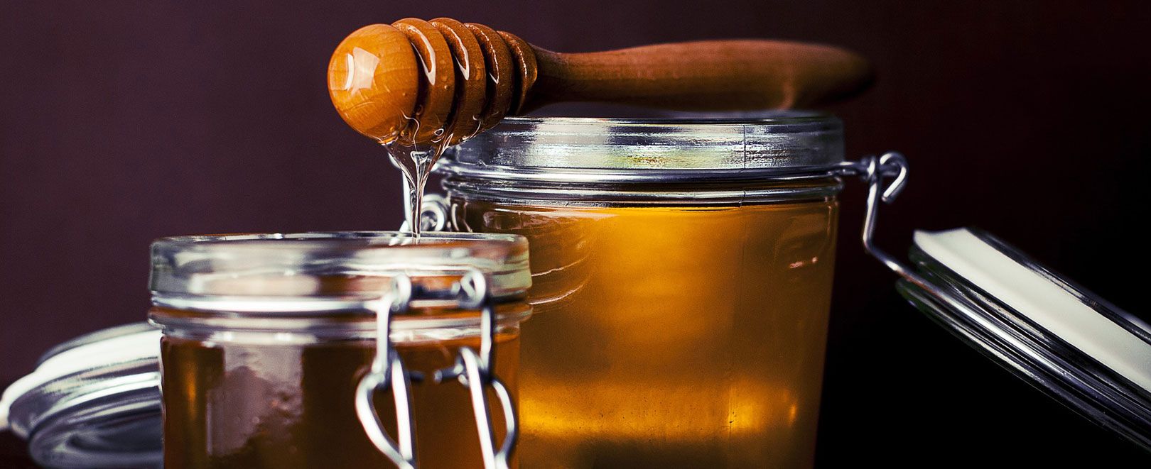 Direttiva “breakfast”, Confagricoltura: «L’Ue sostiene gli apicoltori»