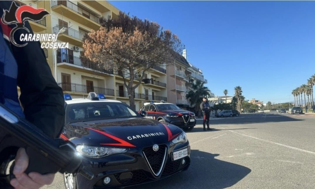Armi e droga nel Cosentino, blitz dei carabinieri: un arresto e due denunce