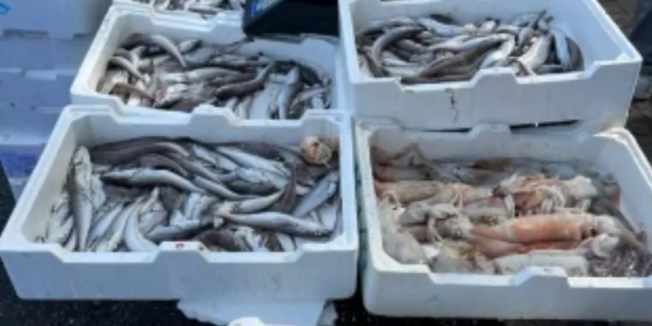 Commercio abusivo di pesce e generi alimentari, a Crotone attività sequestrate e sanzionate