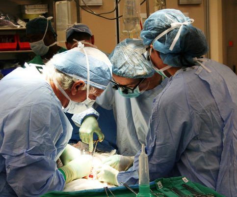 In viaggio dal Gambia fino in Calabria per curare la leucemia