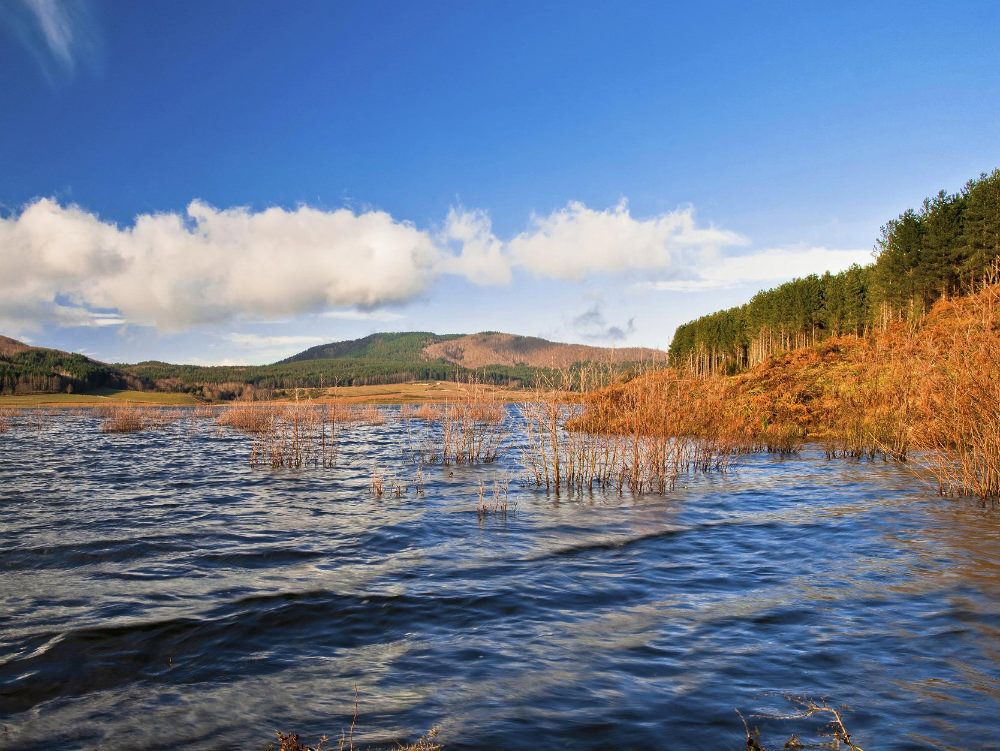 Caso Alaco, Greco: «I vertici dell`Arpacal si dimettano»