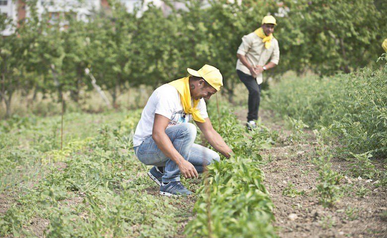 Psr, bandi ancora bloccati