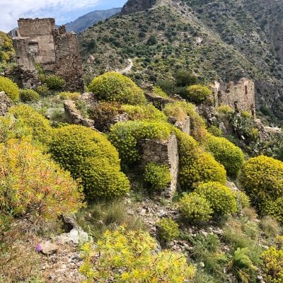 Piano nazionale Ripristino natura, finanziati 10 progetti della Regione Calabria per oltre 7,8 mln