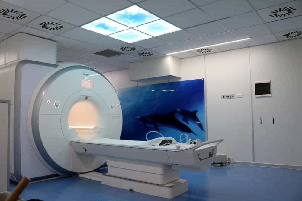 Uno studio calabrese spiega come prevedere l'insorgenza della malattia di Parkinson