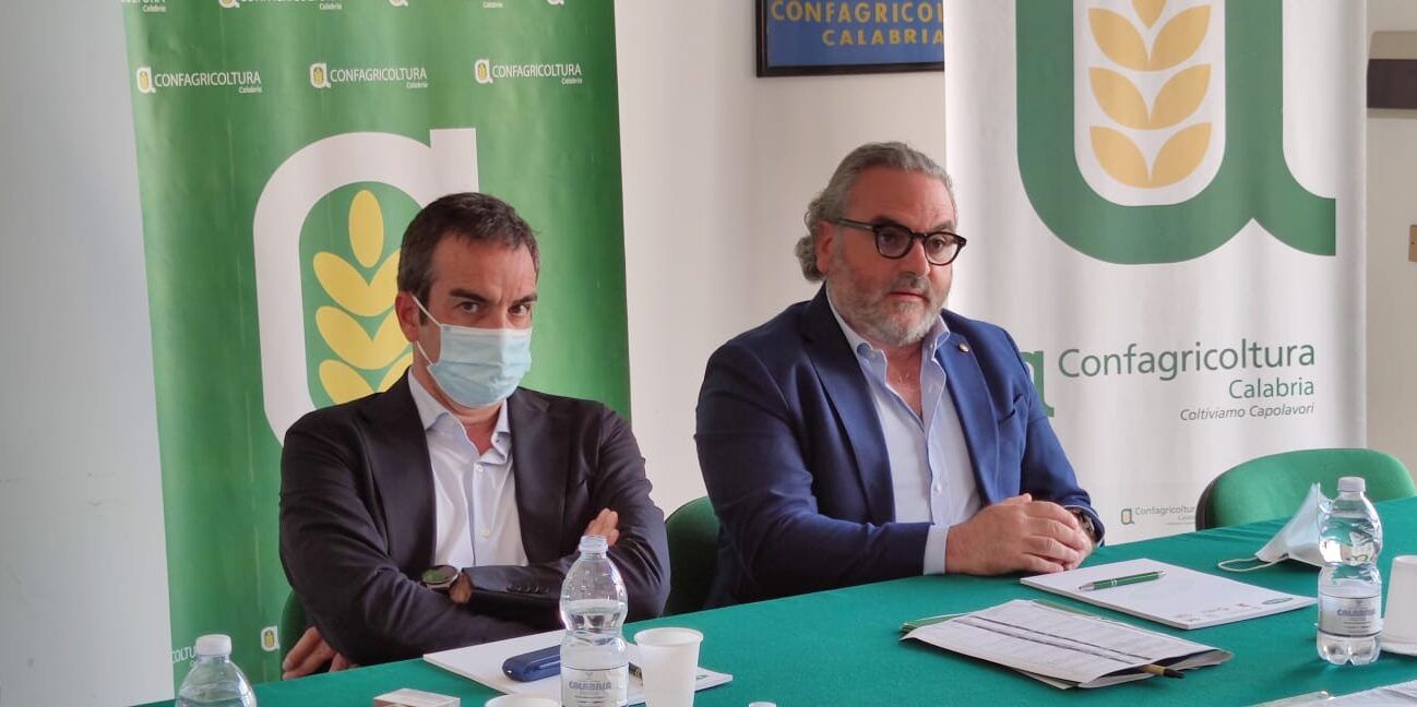 Occhiuto a Confagricoltura: «Pronti al confronto». Statti: «Dialogo avviato»