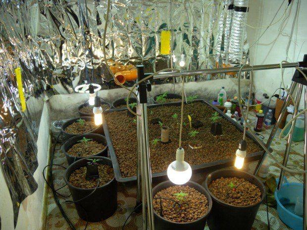 Serra per l’erba nel ripostiglio di un box, 3 arresti