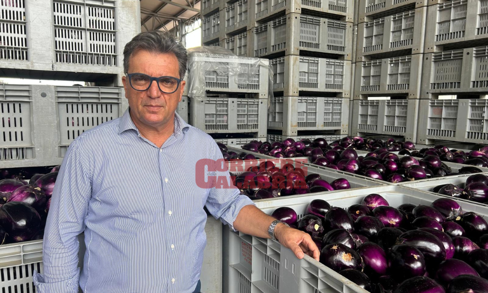 «Siamo in una situazione drammatica»: l’allarme dell’imprenditore agricolo Giampà sul blocco dei tir