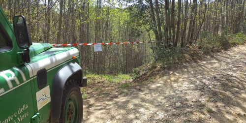 carabinieri forestale parco aspromonte