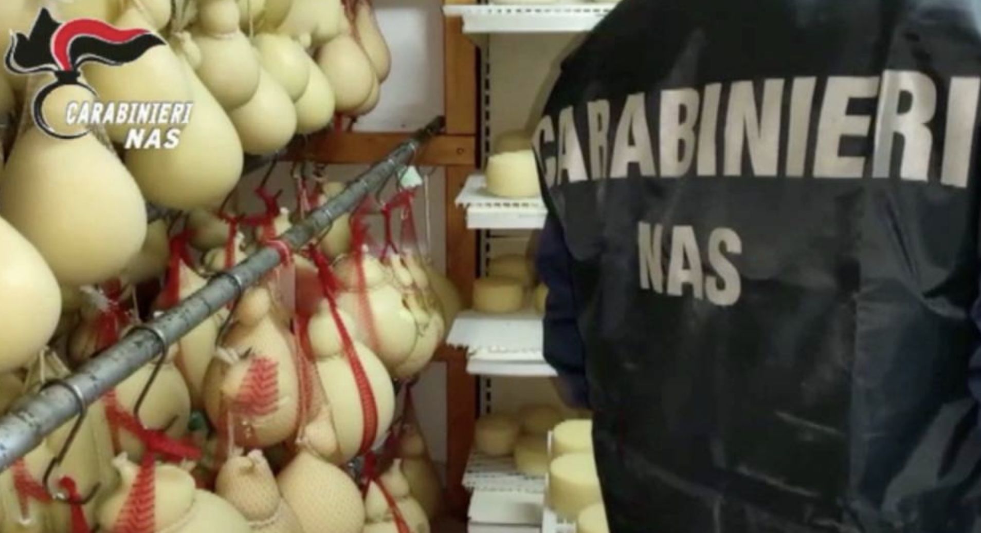 Il piano dei Costa per salvare i formaggi sequestrati: l’accordo da 3.600 euro, le finte operazioni di smaltimento