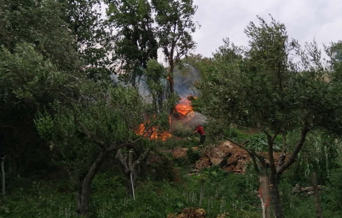 Roghi nelle campagne di Falerna