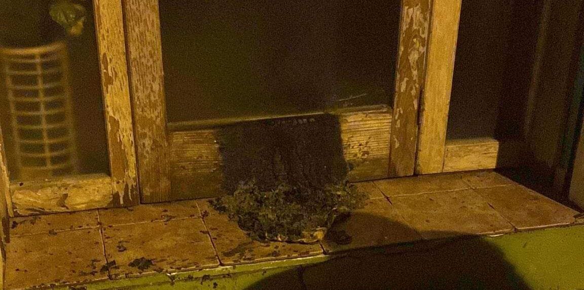 Tentano di incendiare il portone del suo studio legale, intimidazione al sindaco di Villa San Giovanni Giusy Caminiti