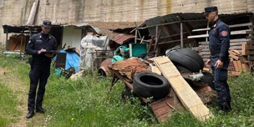 sequestro cc forestale parco sila 1 taverna villaggio mancuso