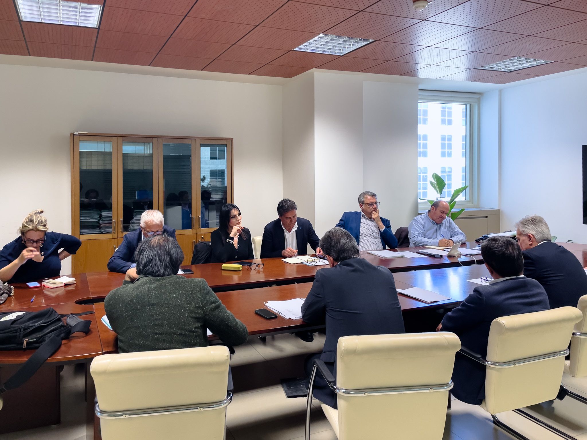 Calabria Verde, incontro tra Regione e sindacati: sul tavolo ricambio generazionale e distribuzione dei lavoratori