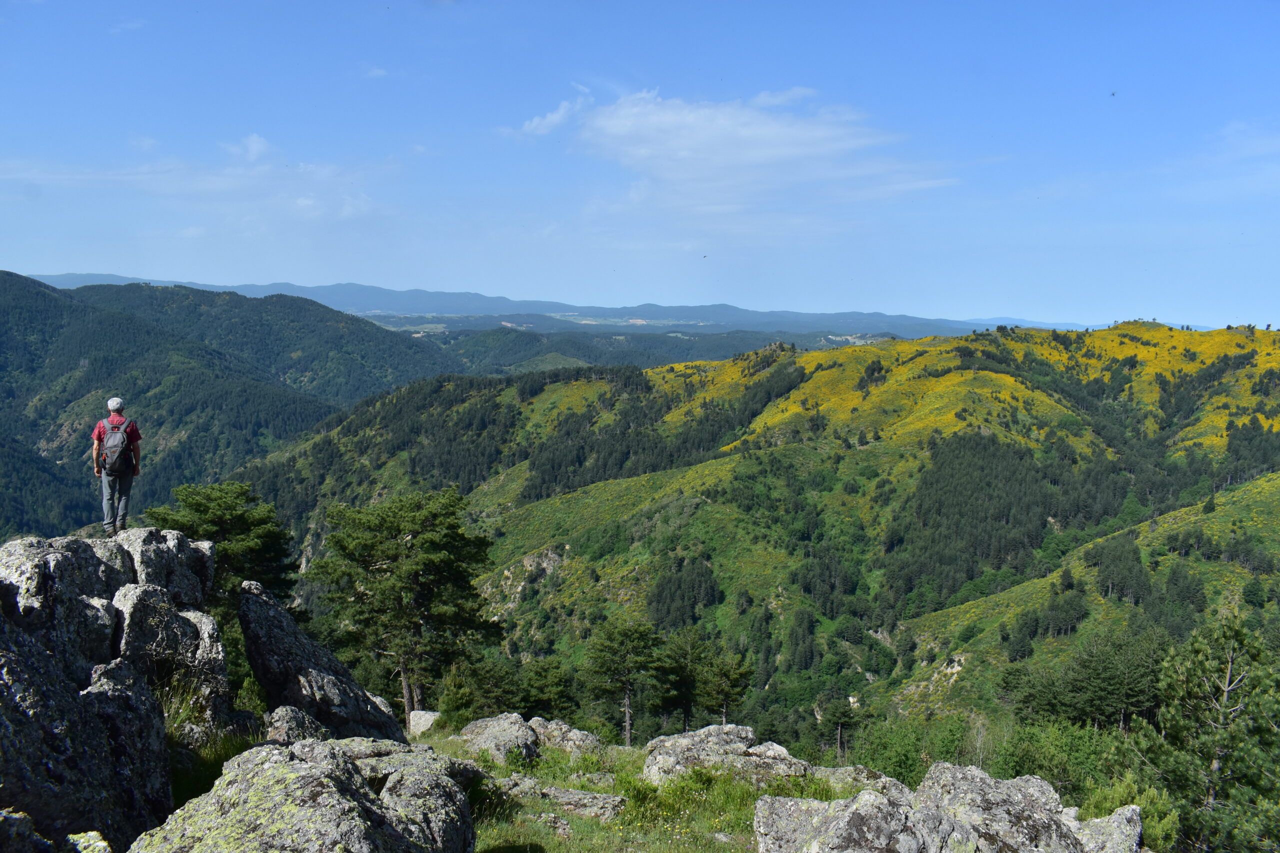 L’eolico e l’assalto alla Calabria: il caso Acri-Sila Greca