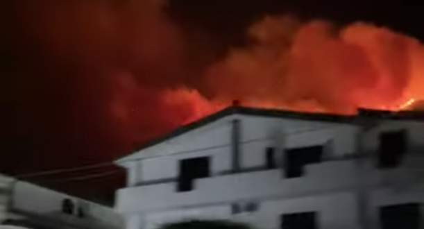 Terribile incendio a Vibo distrugge ettari di macchia mediterranea