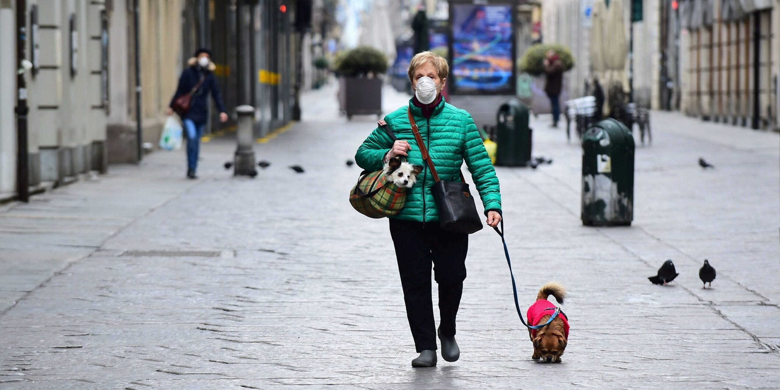 Animali in città, ecco i dati dell’indagine di Legambiente