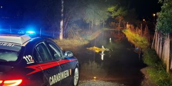 Frane e strade chiuse a Catanzaro e provincia: Carabinieri in campo per l’emergenza – VIDEO