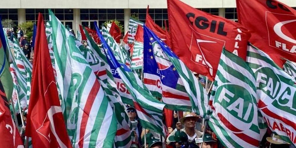 Forestazione, Fai-Flai-Uila: «Per i lavoratori ex legge 15 e 40 anticipare l’apertura dei cantieri»