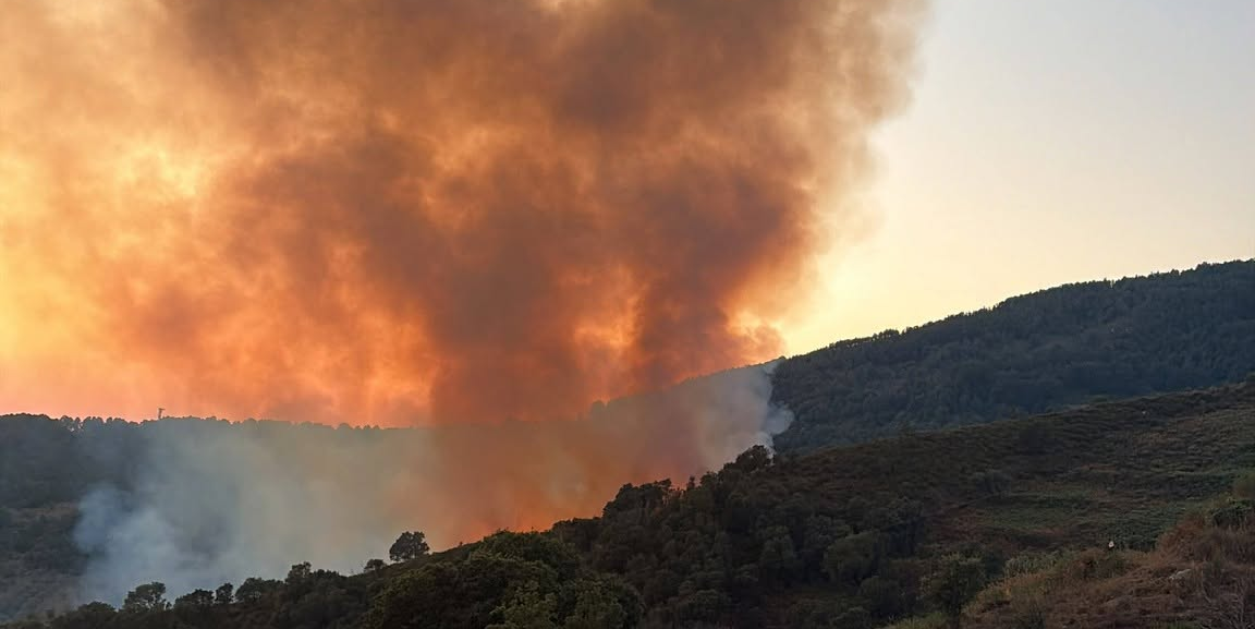 Estate in Calabria: un paradiso bruciato dai diavoli