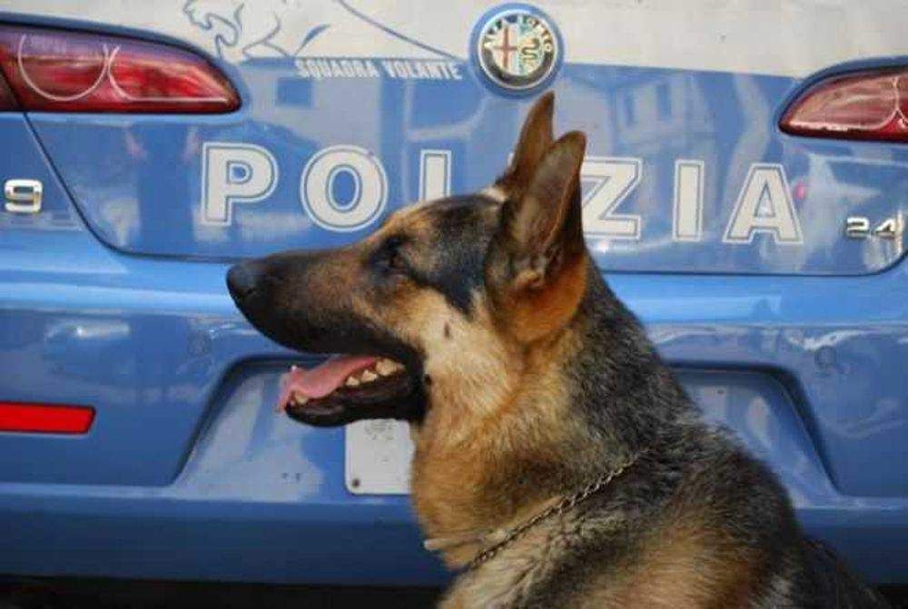 Rientrava al Cas di Nicotera con mezzo chilo di droga, arrestato