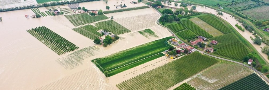 Alluvione e gelate del 2023, Confagricoltura: «Risolvere subito gli intoppi»