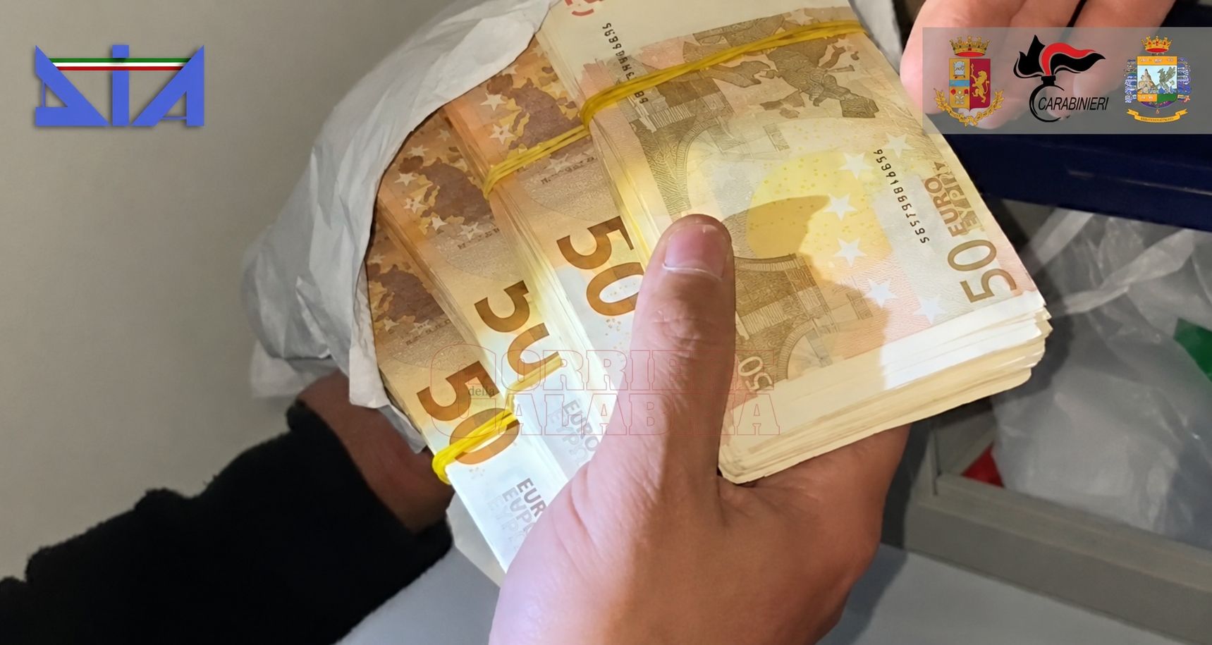 Basso Profilo, Glenda Giglio e gli albanesi prestanome. «Fai finta che parlano italiano e chiudi gli occhi»