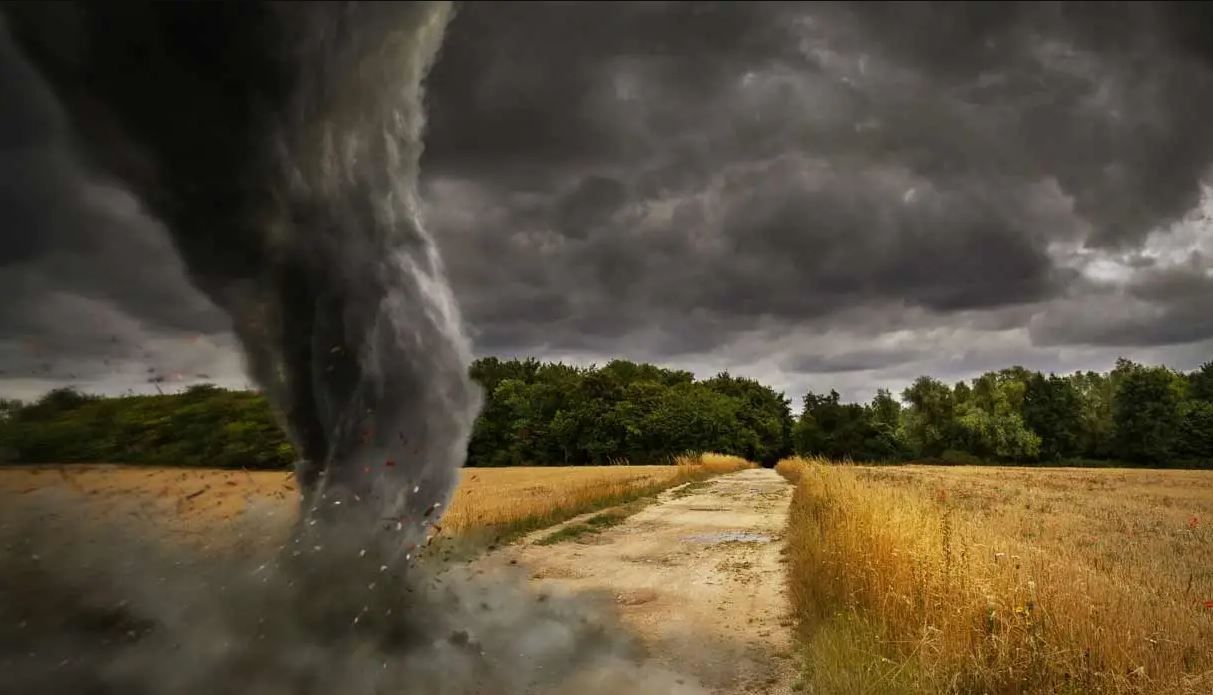 Occupazione in Calabria nell’occhio del ciclone. Ecco i rimedi