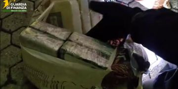 Gioia Tauro, 435 kg di cocaina nascosti in un container che trasportava noccioline. Sequestro da 70 milioni di euro – VIDEO