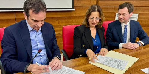 occhiuto corradini D’Arienzo varì