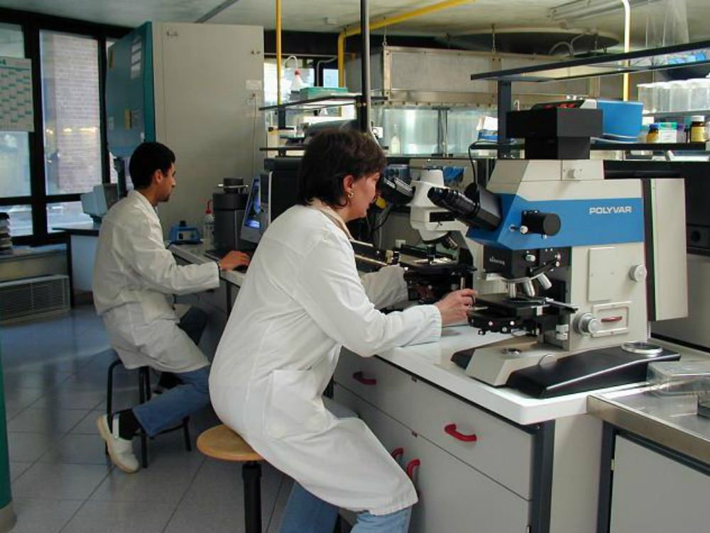 Genetica, scoperta scientifica all`ospedale di Cosenza