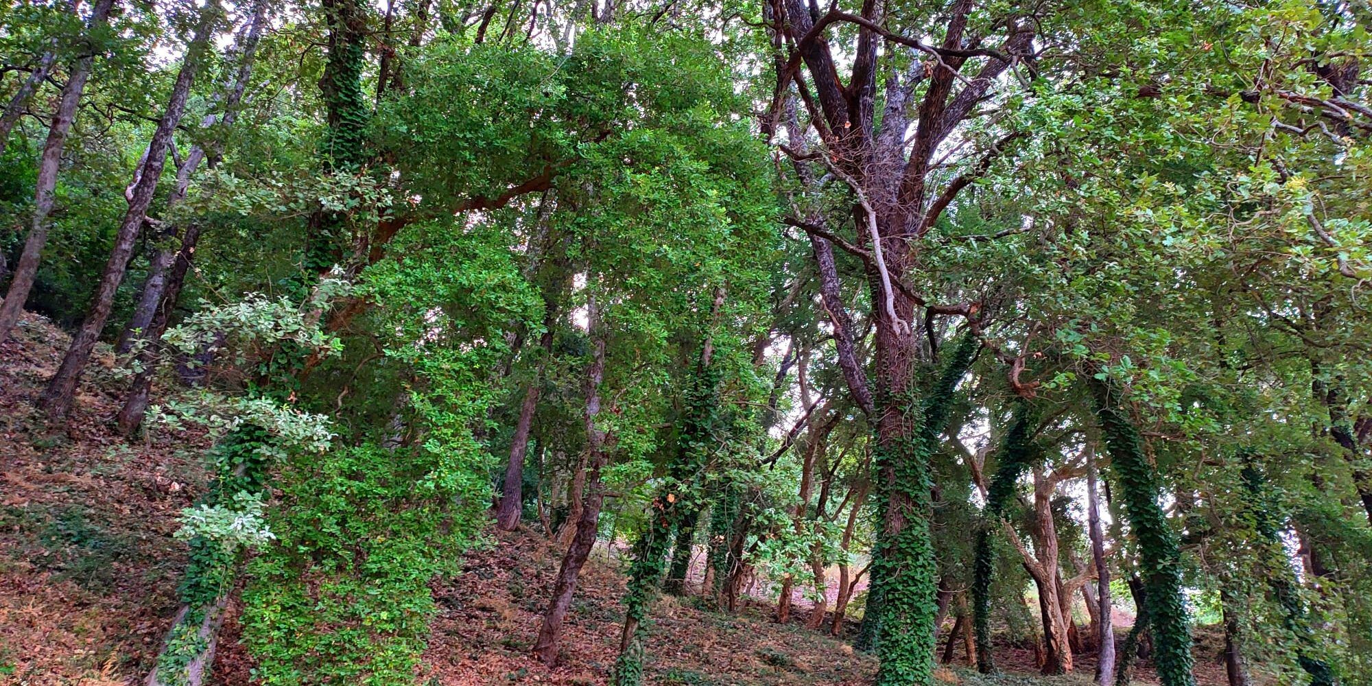 «La mia prima al Teatro alla Scala. Nel caldo del Sud»