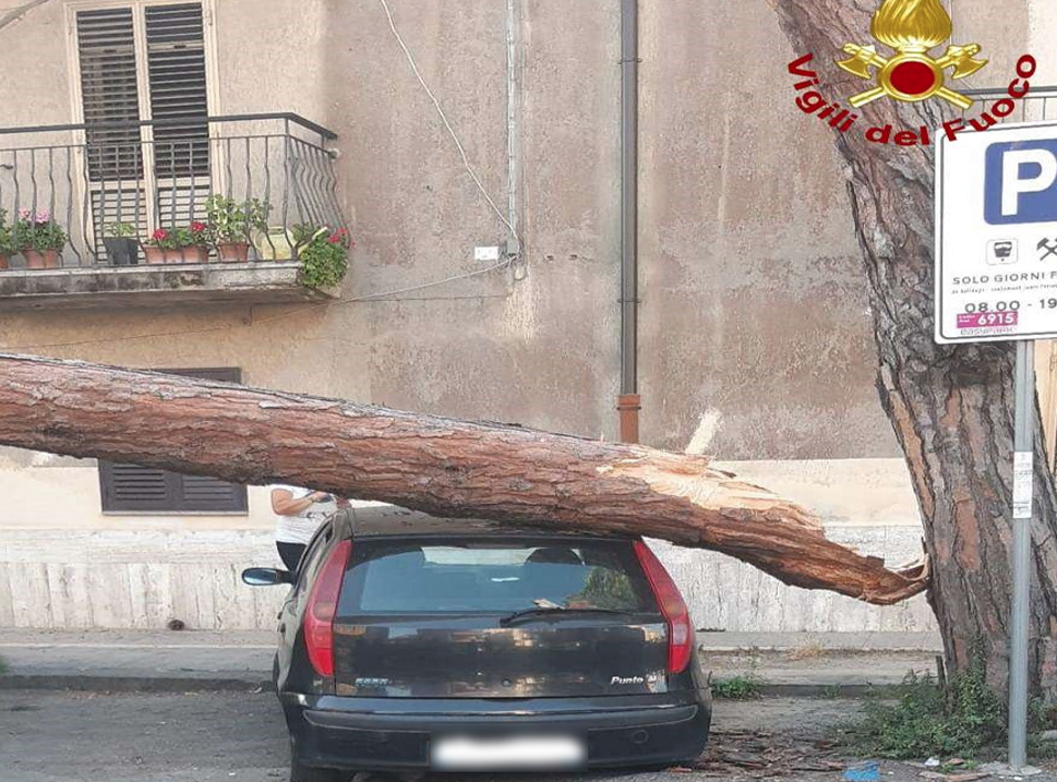 Vibo, albero si spezza e cade su un’auto. Tranciati anche i cavi elettrici