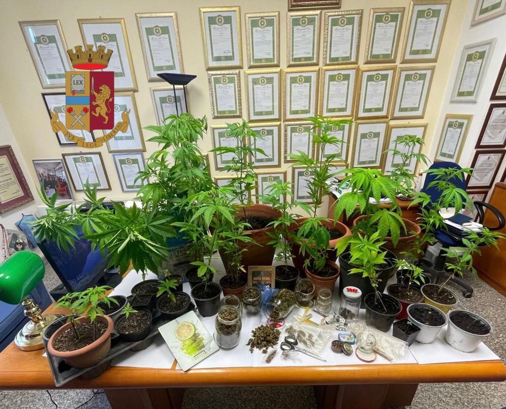 Deteneva 40 piante di cannabis e due etti di marijuana: scoperto dalla polizia nel Vibonese