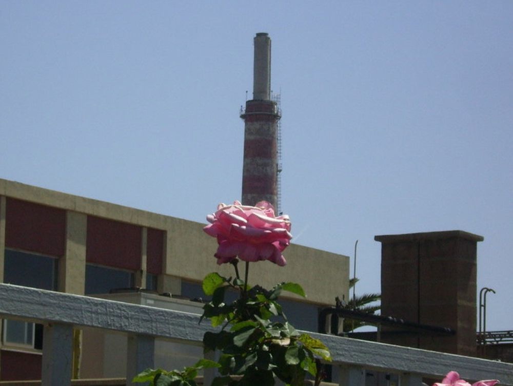 «Necessaria la bonifica immediata dell’ex area Eni di Crotone»