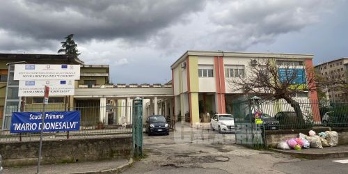 dionesalvi centro impiego