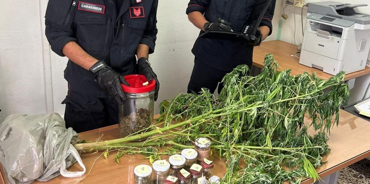 Nascondeva la droga in casa e in un’officina, scoperto (dal cane “Collins”) e arrestato – VIDEO