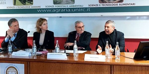 Tonda di Calabria bio, miele di Amaroni e No&Mi: focus alla Mediterranea